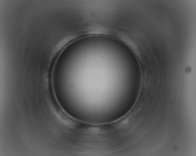 X0000093560298200710151112