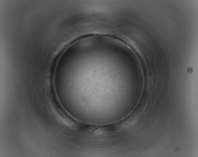 X0000093560299200710151112