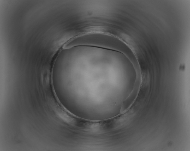 X0000093560301200710151112