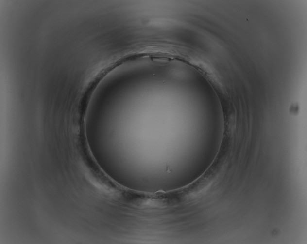 X0000093560303200710151112