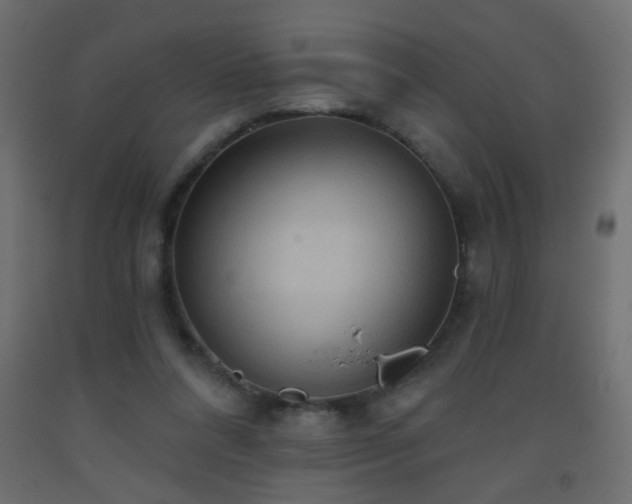 X0000093560304200710151112