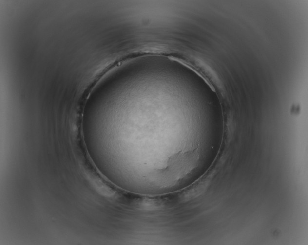 X0000093560305200710151112