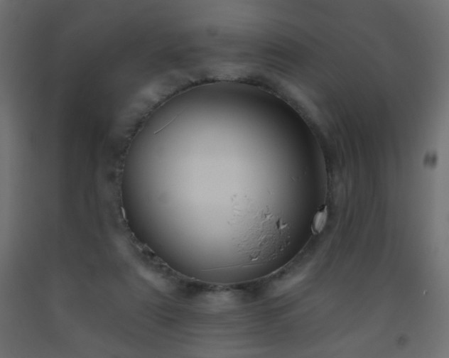 X0000093560307200710151112