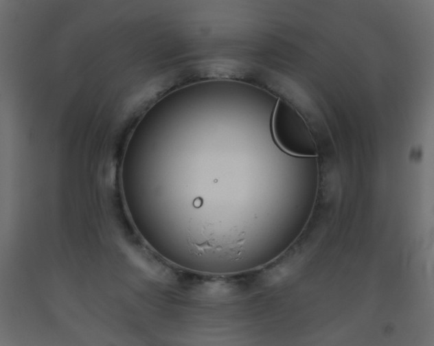 X0000093560310200710151112