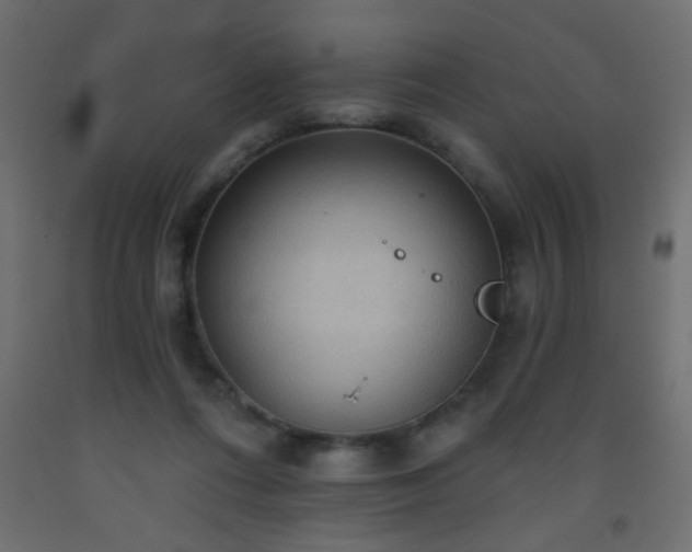 X0000093560312200710151112