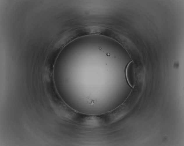 X0000093560316200710151112