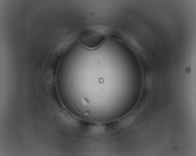 X0000093560318200710151112