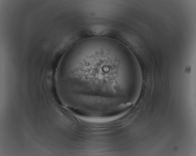 X0000093560319200710151112