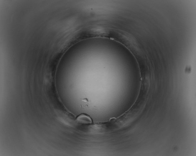 X0000093560320200710151112