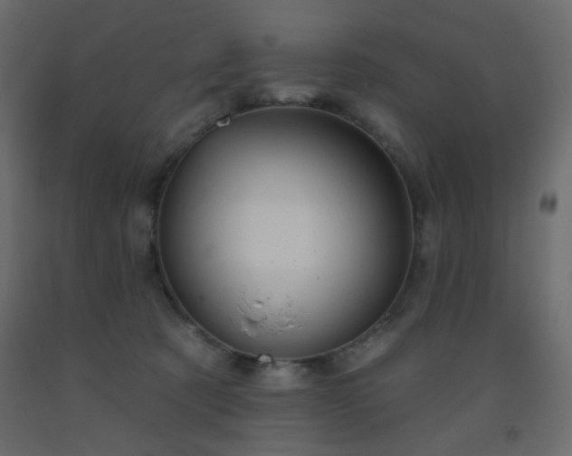 X0000093560321200710151112