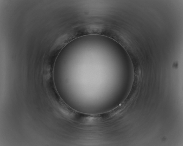 X0000093560323200710151112