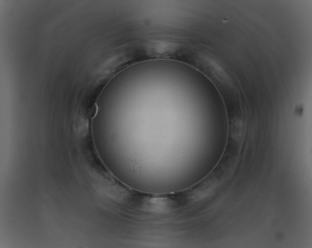 X0000093560324200710151112