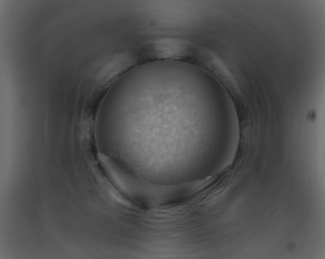 X0000093560325200710151112