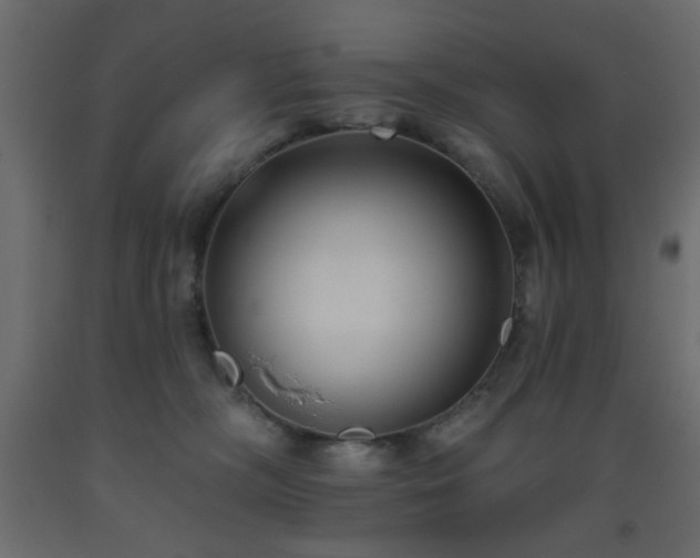 X0000093560326200710151112