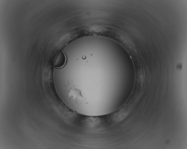 X0000093560328200710151112