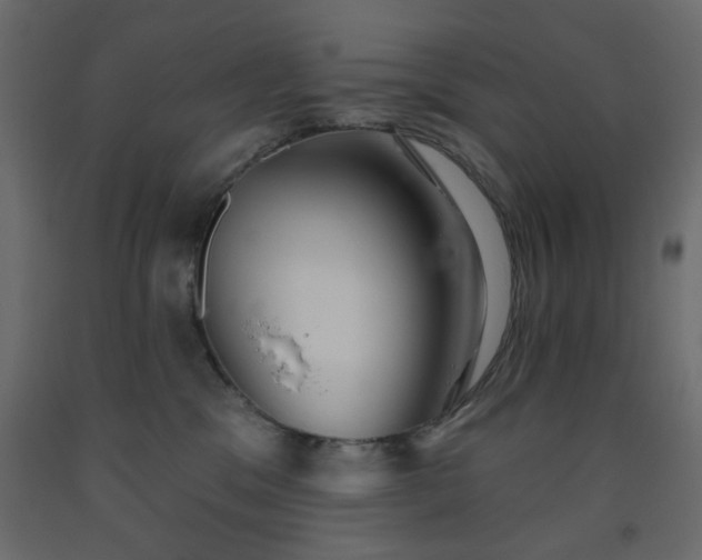X0000093560329200710151112