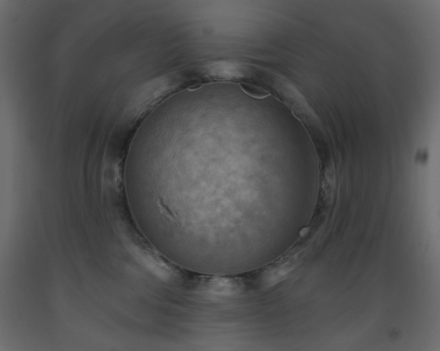 X0000093560330200710151112
