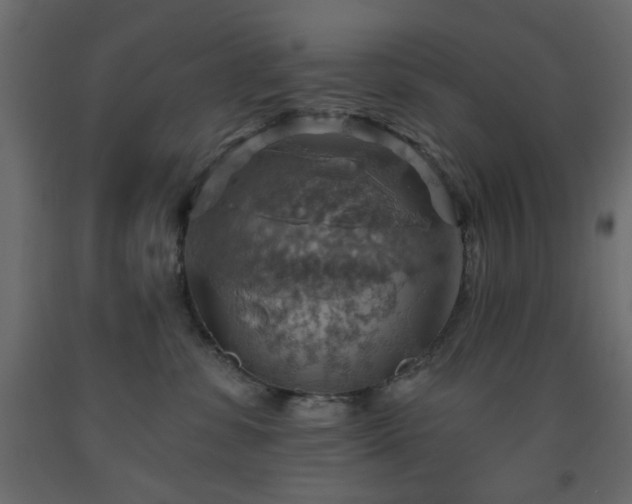 X0000093560331200710151112