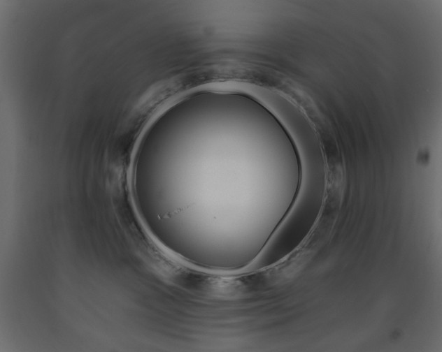 X0000093560333200710151112