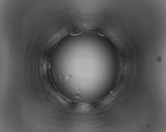 X0000093560334200710151112