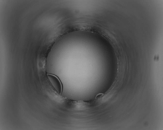X0000093560336200710151112