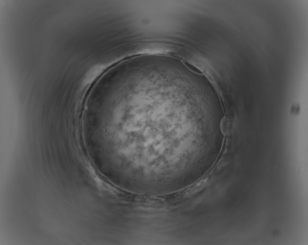 X0000093560337200710151111