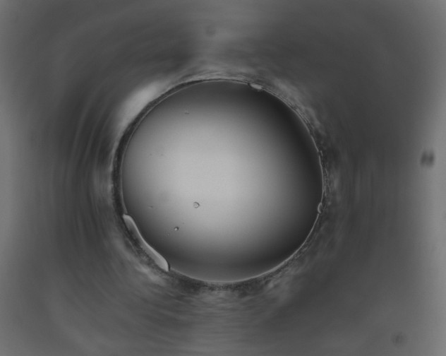 X0000093560340200710151111