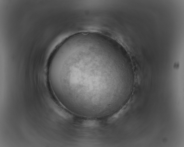 X0000093560342200710151111