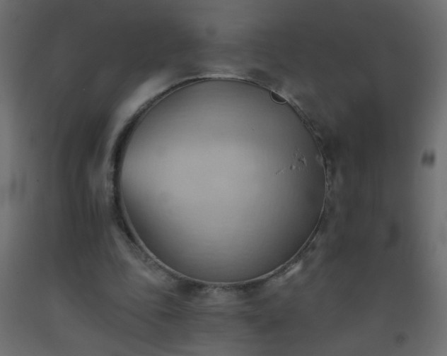 X0000093560343200710151111