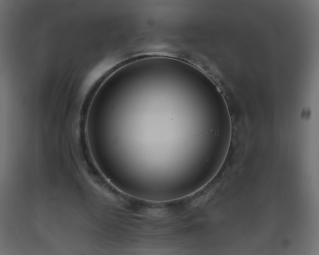 X0000093560344200710151112