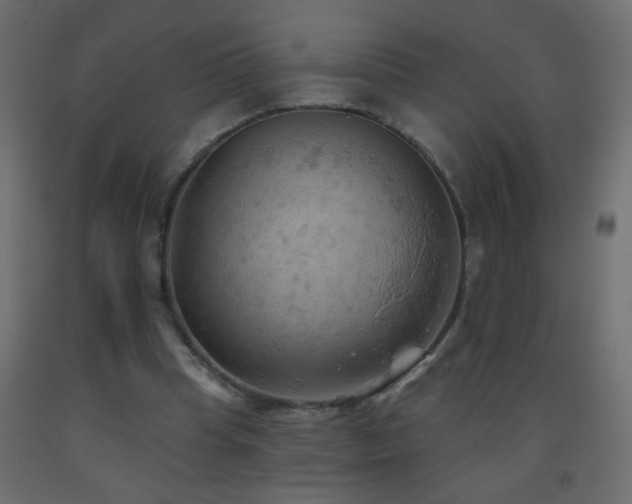 X0000093560345200710151112
