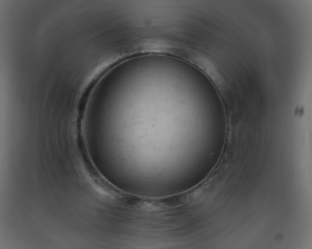 X0000093560346200710151112