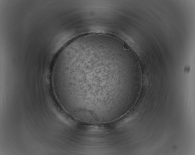 X0000093560347200710151112