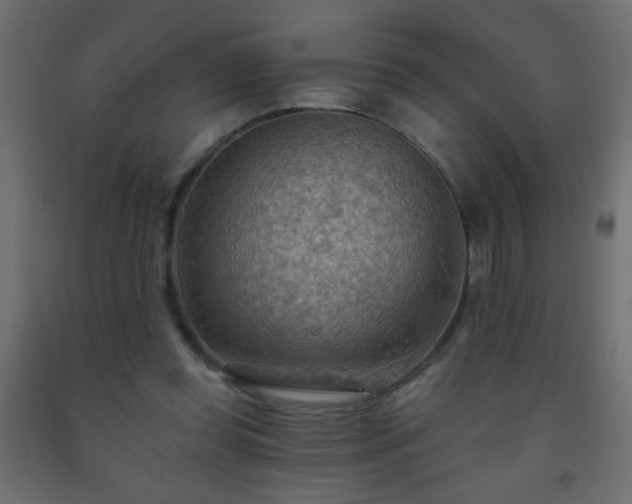 X0000093560349200710151112