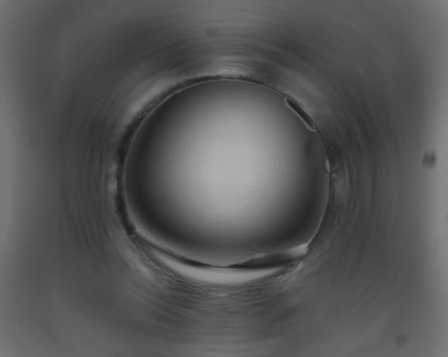 X0000093560350200710151112