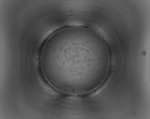 X0000093560351200710151112