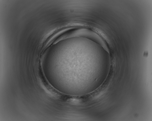 X0000093560352200710151112