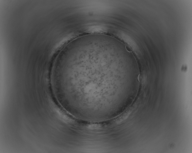 X0000093560353200710151112