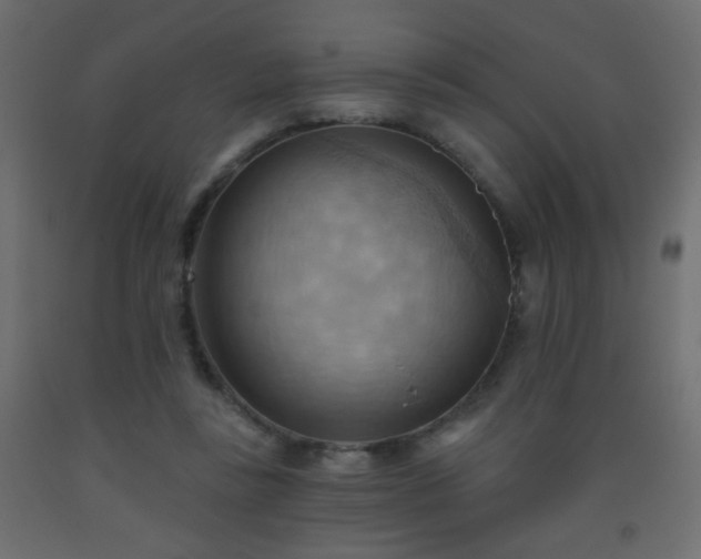X0000093560355200710151112