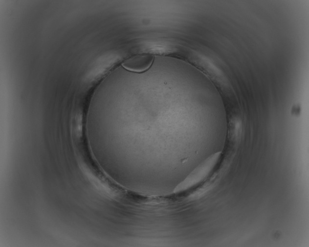 X0000093560358200710151112
