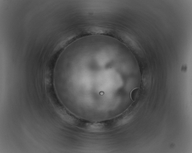X0000093560359200710151112