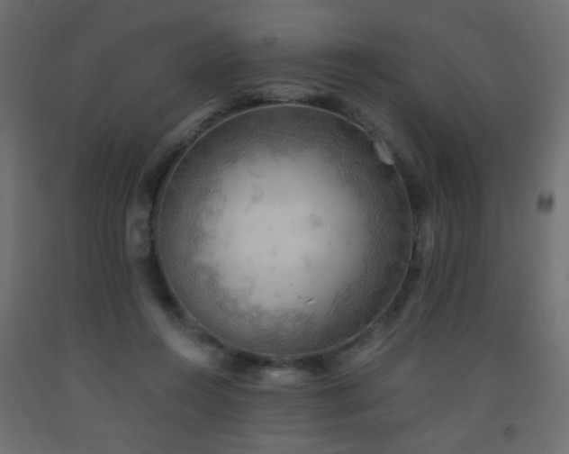 X0000093560360200710151112