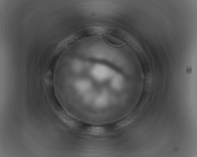 X0000093560361200710151112