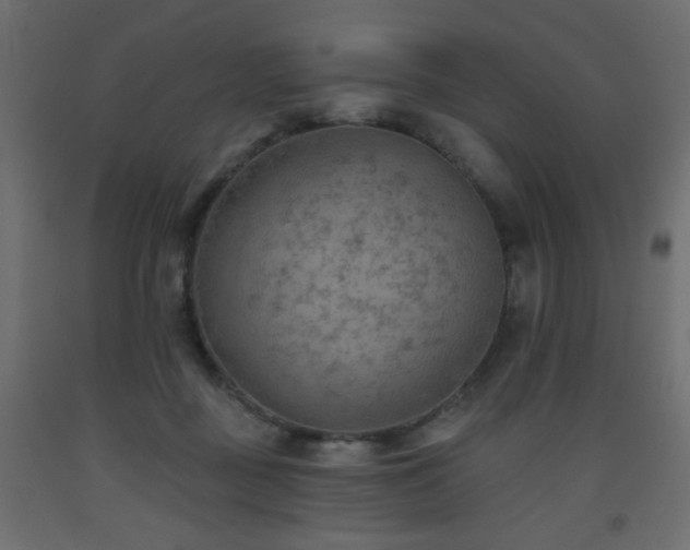 X0000093560363200710151112