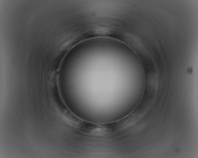 X0000093560364200710151112