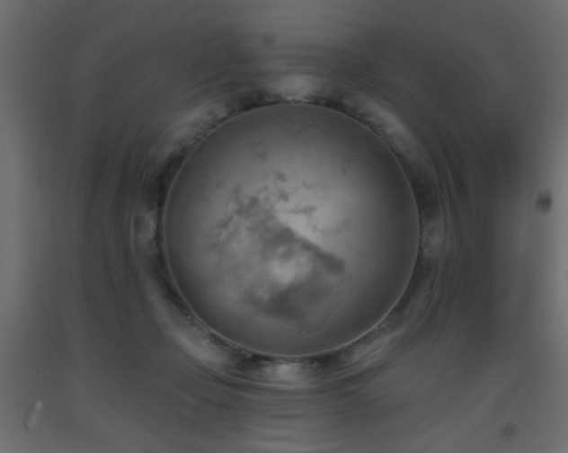 X0000093560365200710151112
