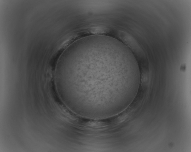 X0000093560367200710151112