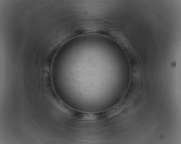 X0000093560369200710151112