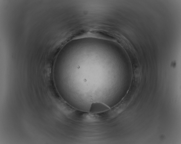 X0000093560372200710151112