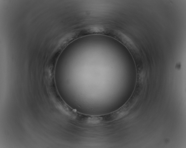 X0000093560373200710151112